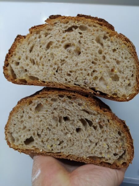 pane miglio, sorgo e farro