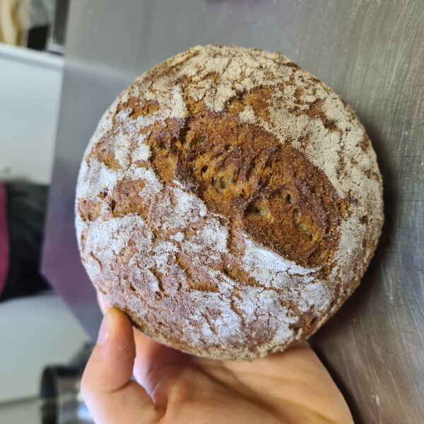 pane miglio-sorgo-riso-kombucha